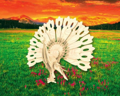 Сборная модель Мир Деревянных Игрушек Павлин