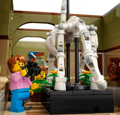 Конструктор Creator «Музей Естественной Истории»